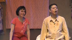 豫剧 - 女婿4
