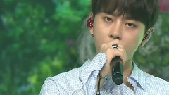 BEAST - Butterfly & RIBBON