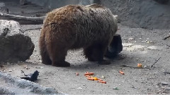 音乐短片 - Сърцето