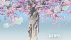动漫专属 - 贵树君,明里酱想于你