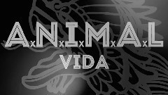 欧美群星 - Vida