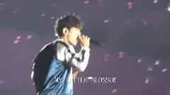 边伯贤(EXO),EXO - DROP THAT