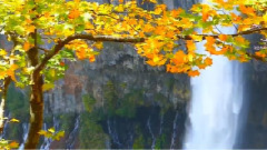 音乐短片 - 唯美音画 高山流水