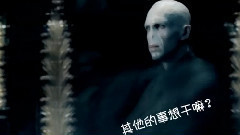 华语群星,欧美群星 - 光棍 伏地魔 & 林黛玉