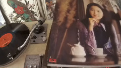 邓丽君 - 夜の乗客