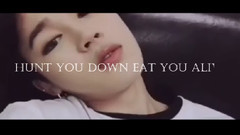 防弹少年团,JIMIN(防弹少年团),V(防弹少年团) - Animals 防弹95line