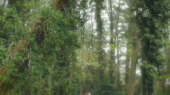 音乐短片 - 梦醒时分