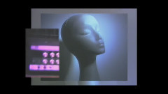 欧美群星 - Walls To Build