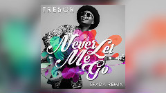 欧美群星,模仿翻唱 - Never Let Me Go (Cover)