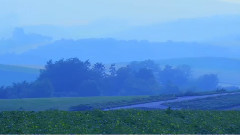 音乐短片 - 田野静悄悄