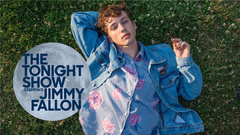 Troye Sivan - Wild