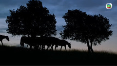 音乐短片 - 九月