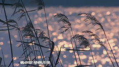 音乐短片 - 渡风