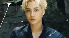 EXO - W Korea:EXOclusive专题画报