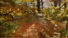 音乐短片 - 回望故乡