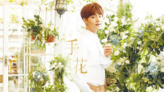 马天宇 - 手花 预告版