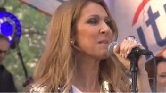Celine Dion - Because You Loved Me