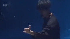 边伯贤(EXO),EXO - 演唱会