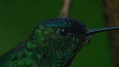 音乐短片 - 细雨怡情