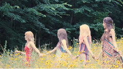 Stellar - Chocolate Cream