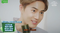 SUHO(EXO),Chen(EXO),EXO - 自然乐园 金钟大&金俊勉篇
