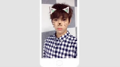 HALO - Dino The Cat