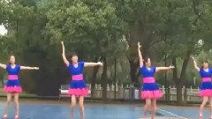 舞蹈视频 - 舞蹈心里藏着你