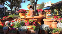 音乐短片 - 迈阿密和佛罗里达南部