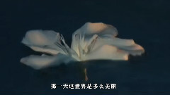 音乐短片 - 雨中飘荡的回忆