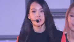 f(x) - Traveler