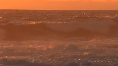 音乐短片 - Waters Of Wide Agony