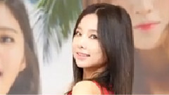 EXID,率智(EXID) - L.I.E