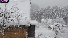 音乐短片 - 雪之梦