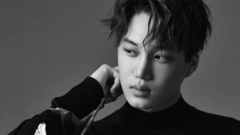 KAI(EXO) - 请别笑我太无趣