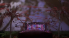 音乐短片 - Light Shines Through Dust