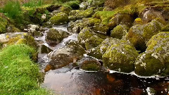 音乐短片 - Indira's Chant