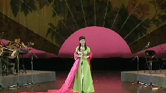 京剧 - 中国京剧旦角名家演唱会3