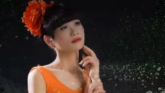 华语群星 - 寂寞里我在等你