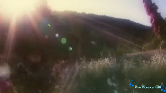 音乐短片 - Great Morning