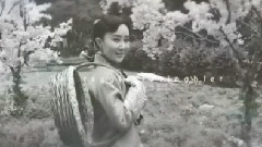 舒畅 - 畅美拍