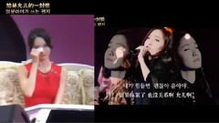 允儿(少女时代),少女时代 - 看饭制VCR感动落泪