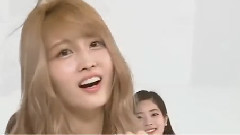 TWICE - TWICE momo综艺剪辑/认识Momo 也许不用10分钟