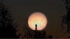 New - Moon Flight