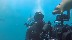 音乐短片 - 水生物袭击人类事件