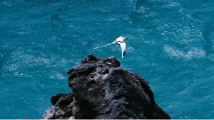 音乐短片 - 另一个世界(Another World)