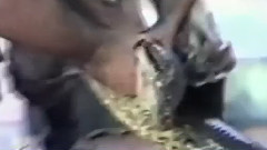 音乐短片 - Giant Serpent Attacks Human Real Events