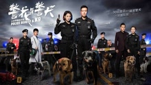 鲁士郎 - 相信你，相信我 电视剧《警花与警犬》主题曲