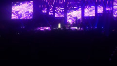 Celine Dion - Purple Rain