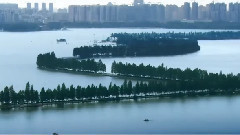 音乐短片 - 情满江城