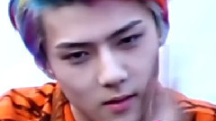 吴世勋(EXO),EXO - exo什么鬼系列之世勋篇
